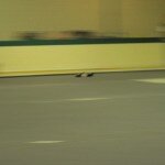 IMG_0748
